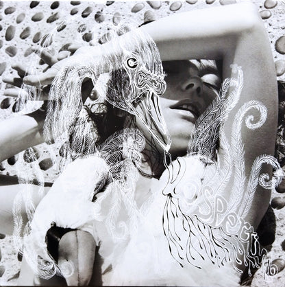 Björk : Vespertine (2xLP, Album, RE)