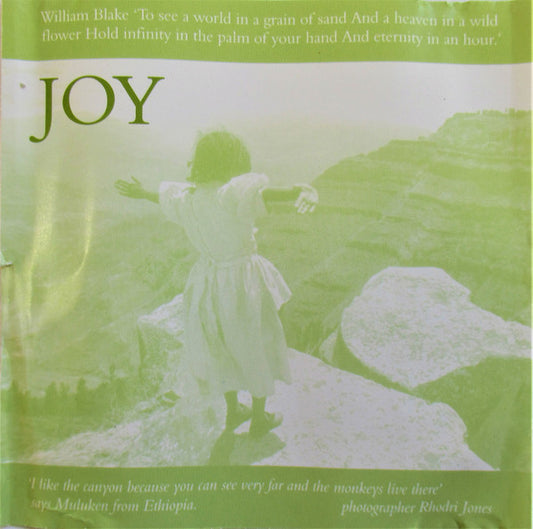 Unknown Artist : Joy (CD)