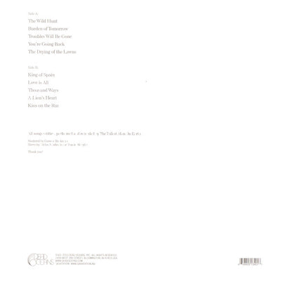 The Tallest Man On Earth : The Wild Hunt (LP, Album)