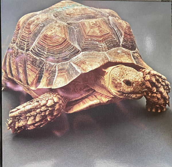 Aldous Harding : Warm Chris (LP, Album)