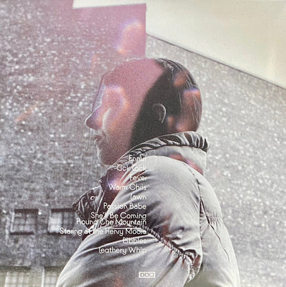 Aldous Harding : Warm Chris (LP, Album)