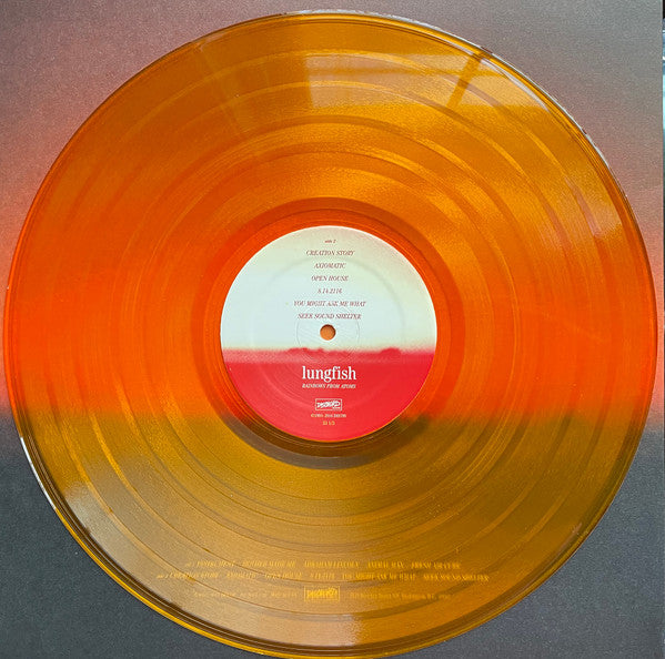 Lungfish : Rainbows From Atoms (LP, Album, RE, Ora)