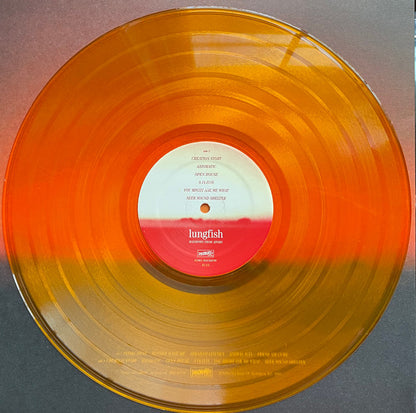 Lungfish : Rainbows From Atoms (LP, Album, RE, Ora)