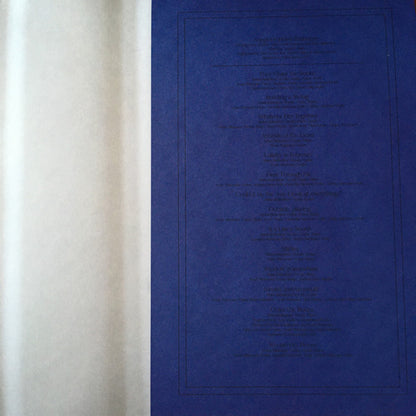 Skullcrusher (16) : Quiet the Room (LP, Album, Ltd, Clo)
