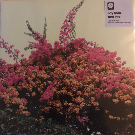 Jay Som : Turn Into (LP, Album, RE, Blu)