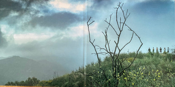 King Gizzard And The Lizard Wizard : Ice, Death, Planets, Lungs, Mushrooms And Lava (2xLP, Album, Rec)