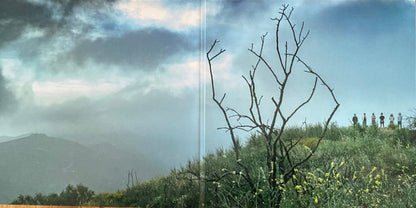 King Gizzard And The Lizard Wizard : Ice, Death, Planets, Lungs, Mushrooms And Lava (2xLP, Album, Rec)