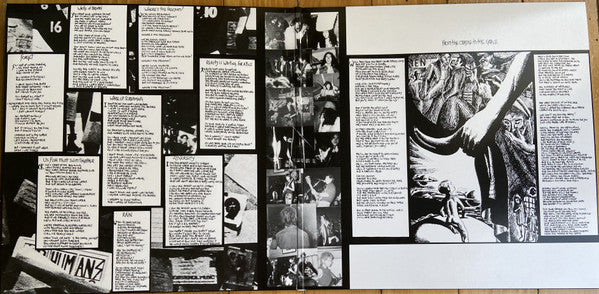 Subhumans : From The Cradle To The Grave (LP, Album, RSD, RE, RM, Pur)