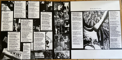 Subhumans : From The Cradle To The Grave (LP, Album, RSD, RE, RM, Pur)