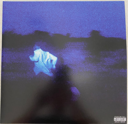 Daniel Caesar (2) : Never Enough (2xLP, Album, Ltd, Ora)