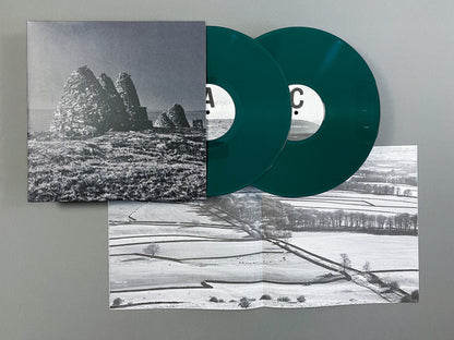 Craven Faults : Standers (2xLP, Album, Ltd, Gre)