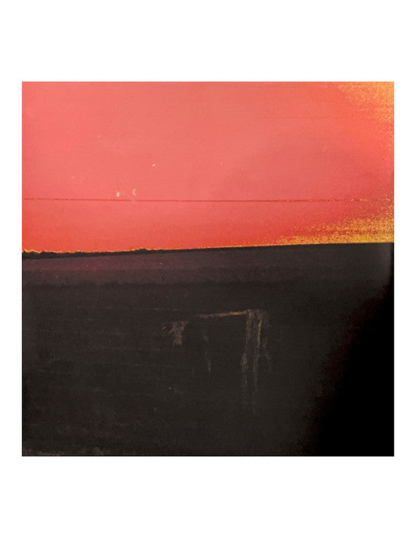 Waveform* : Antarctica (LP, Album, Ltd, Blu)