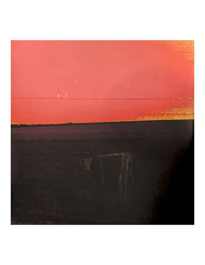 Waveform* : Antarctica (LP, Album, Ltd, Blu)