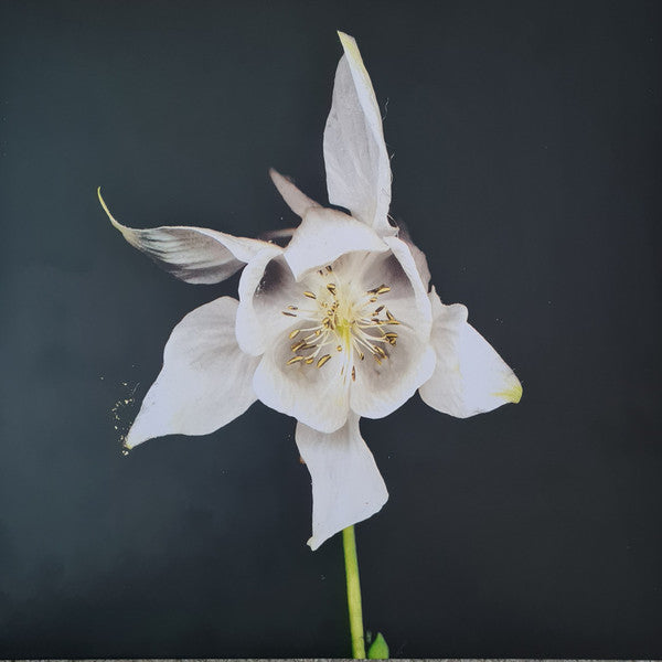 Fridge : Happiness (2xLP, Album, RE)