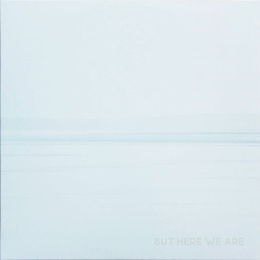 Foo Fighters : But Here We Are (LP, Album, Whi)