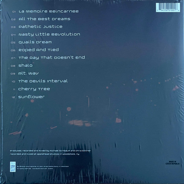 Codeseven : Dancing Echoes / Dead Sounds (LP, Ltd, Mag)