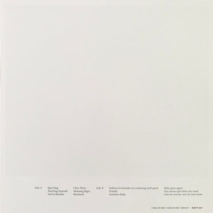 The Japanese House : In The End It Always Does (LP, Album, Blu)