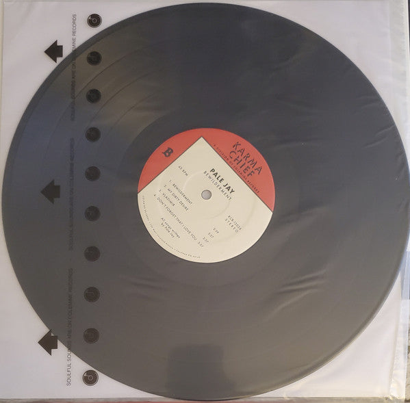 Pale Jay : Bewilderment (LP, Album)