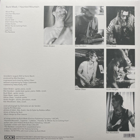 Buck Meek : Haunted Mountain (LP, Album, Ltd, Gre)