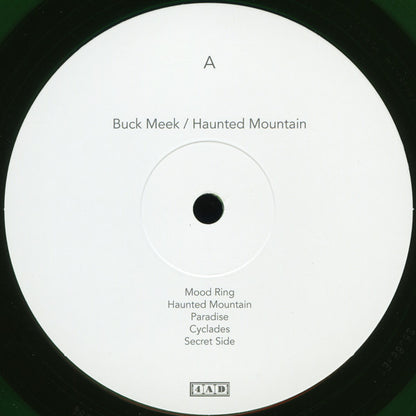 Buck Meek : Haunted Mountain (LP, Album, Ltd, Gre)
