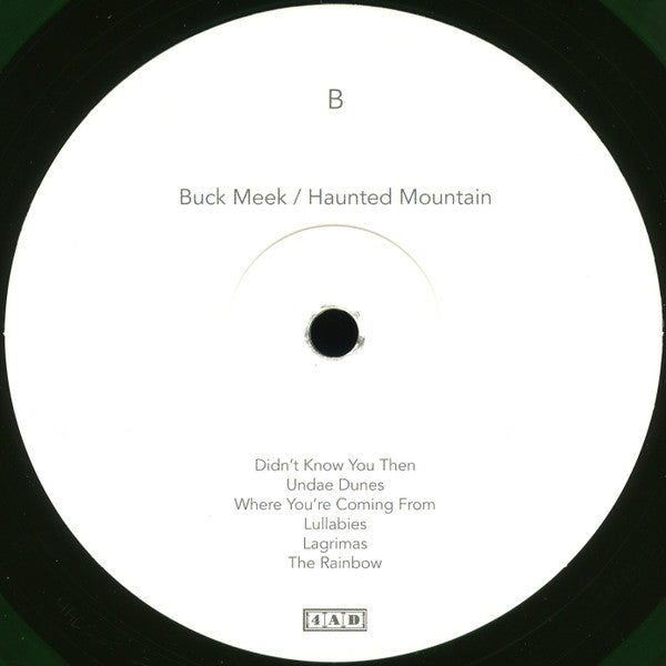 Buck Meek : Haunted Mountain (LP, Album, Ltd, Gre)