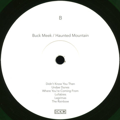 Buck Meek : Haunted Mountain (LP, Album, Ltd, Gre)