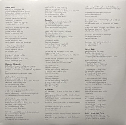 Buck Meek : Haunted Mountain (LP, Album, Ltd, Gre)