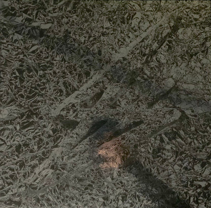 Say She She : Silver (2xLP, Album, Ltd, Cle)