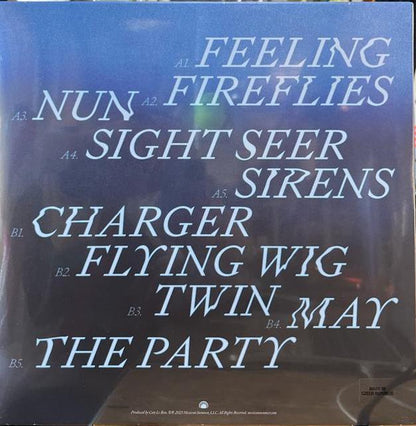 Devendra Banhart : Flying Wig (LP, Album)