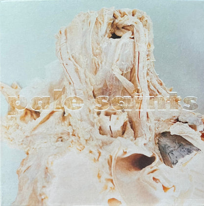 Pale Saints : In Ribbons • 30th Anniversary Re:Masters (CD, Album, RE, RM + CD, Comp)