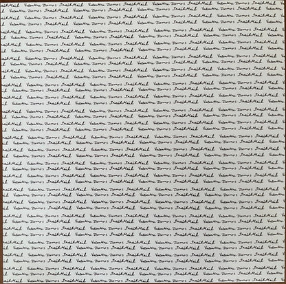 Snail Mail (2) : Valentine Demos (12", EP)
