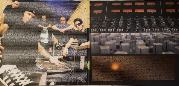 Limp Bizkit : Chocolate Starfish And The Hot Dog Flavored Water (LP, Gre + LP, Bro + Album, Ltd, RE, RM)