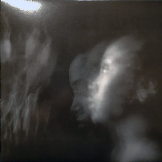 Niecy Blues : Exit Simulation (LP, Album)