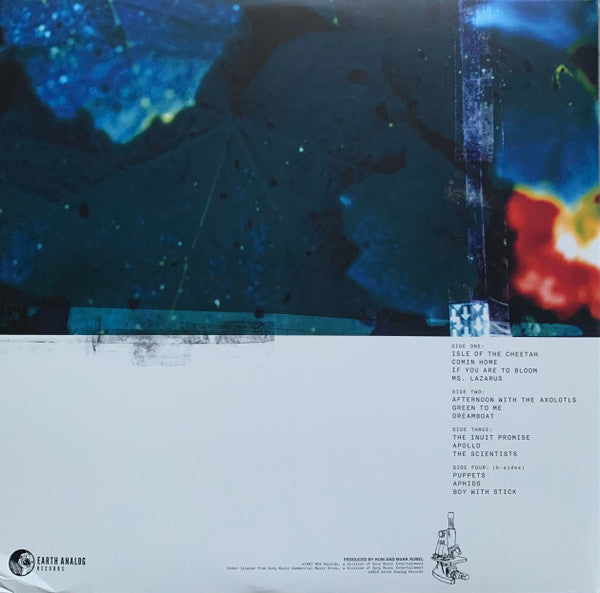 Hum (2) : Downward Is Heavenward (2xLP, RE, RP, Yel)