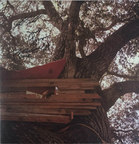 The Backseat Lovers : Waiting to Spill (LP, Album, Ltd, Rub)