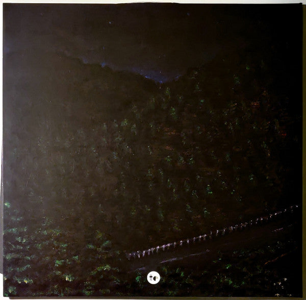 Awakebutstillinbed : chaos takes the wheel and i am a passenger (2xLP, Album, Ltd, Fir)