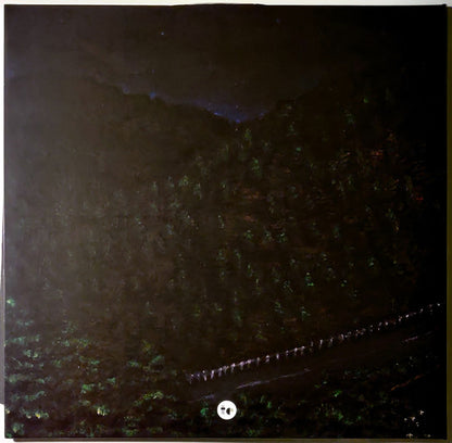 Awakebutstillinbed : chaos takes the wheel and i am a passenger (2xLP, Album, Ltd, Fir)