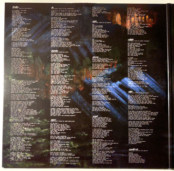 Awakebutstillinbed : chaos takes the wheel and i am a passenger (2xLP, Album, Ltd, Fir)