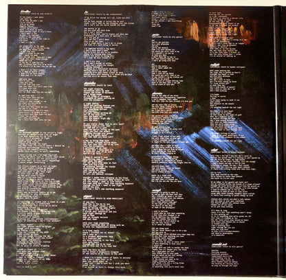 Awakebutstillinbed : chaos takes the wheel and i am a passenger (2xLP, Album, Ltd, Fir)