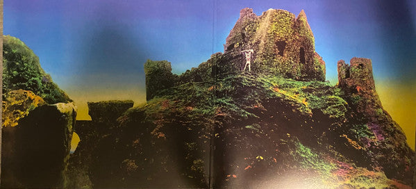 Led Zeppelin : Houses Of The Holy (LP, RM)