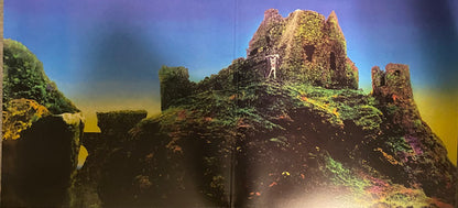 Led Zeppelin : Houses Of The Holy (LP, RM)