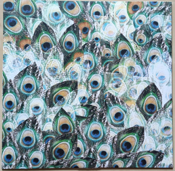 Camera Obscura : My Maudlin Career (LP, Album, RP)