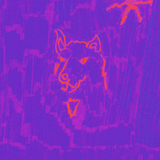 Dehd : Poetry (LP, Album, Ltd, Plu)