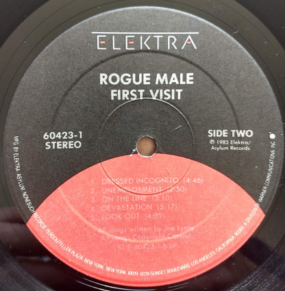 Rogue Male : First Visit (LP, Album)