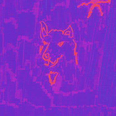 Dehd : Poetry (LP, Album, Gat)