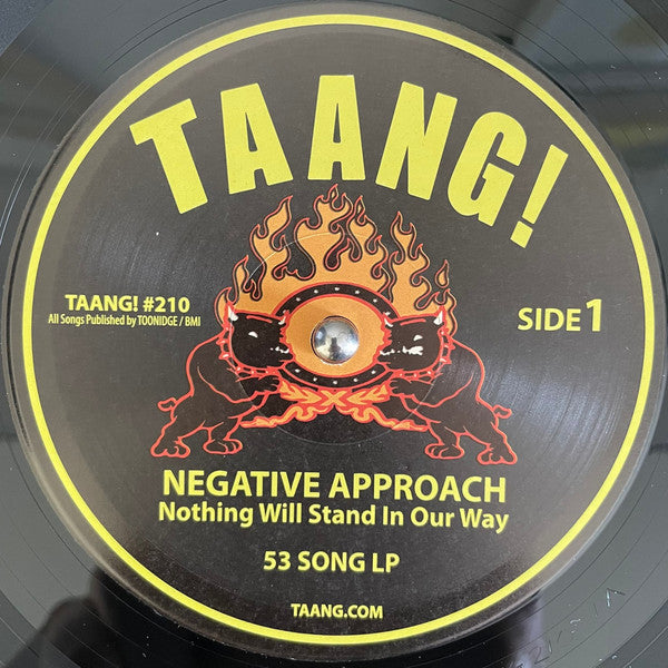 Negative Approach : Nothing Will Stand In Our Way (LP, Comp, RP)