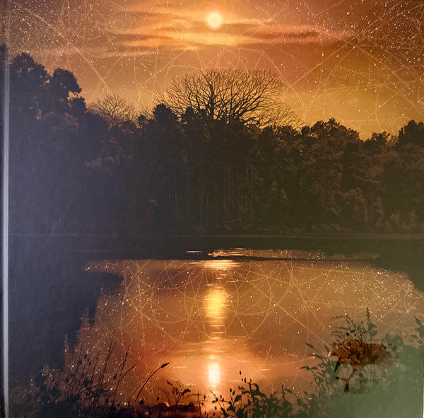 Planes Mistaken For Stars : Do You Still Love Me? (LP, Album, Dlx, Ltd, Ora)