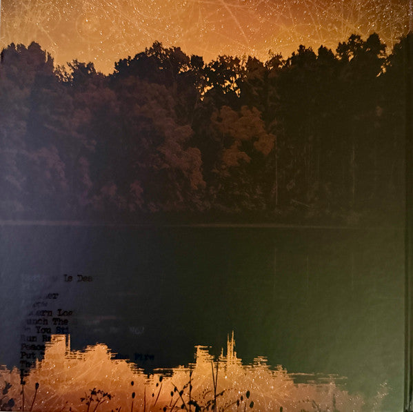 Planes Mistaken For Stars : Do You Still Love Me? (LP, Album, Dlx, Ltd, Ora)