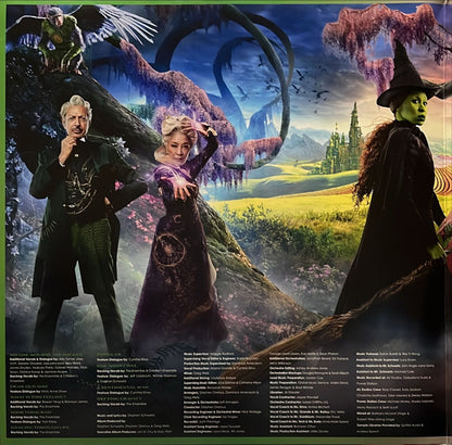 Stephen Schwartz : Wicked (The Soundtrack) (2xLP, Album)