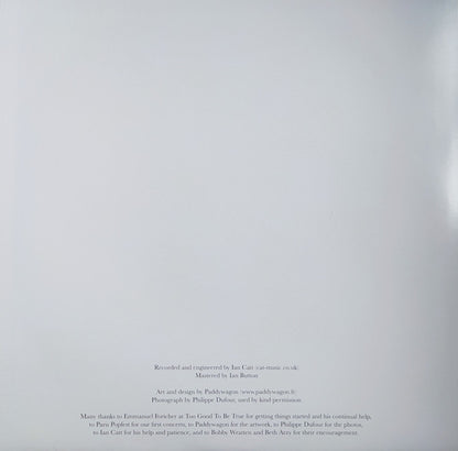 The Gentle Spring : Looking Back At The World (LP, Album)